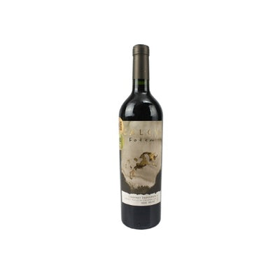 VINHO FOTEM CABERNET SAUVIGNON TINTO 750ML