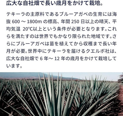 Jose Cuervo Tequila Especial Blue Agave 750 Ml